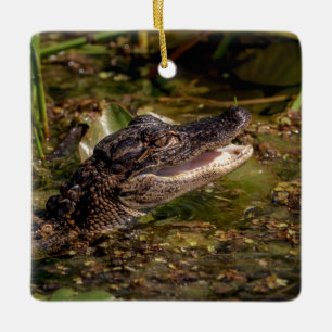 Young Alligator Ceramic Ornament