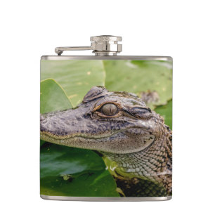 Young Alligator Hip Flask