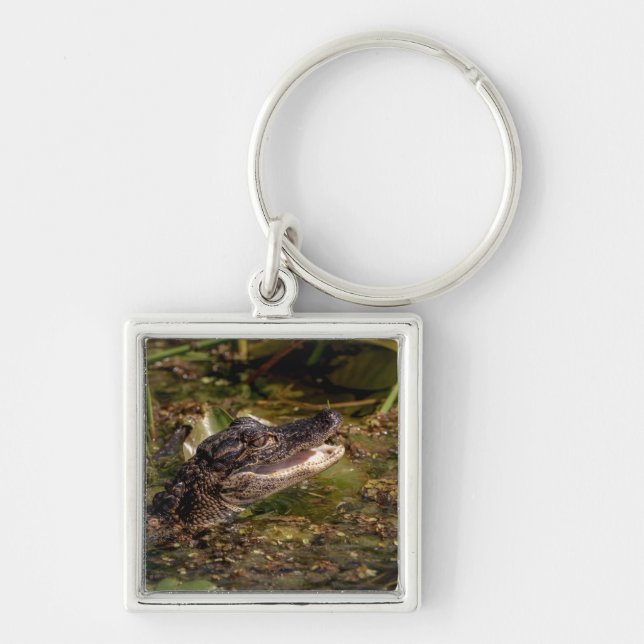 Young Alligator Keychain (Front)
