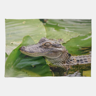 Young Alligator Kitchen Towel
