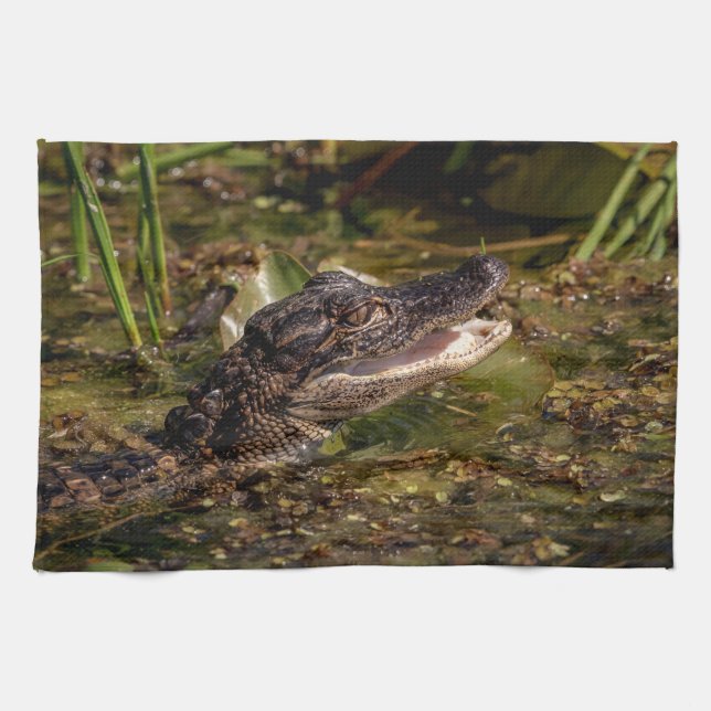 Young Alligator Kitchen Towel (Horizontal)