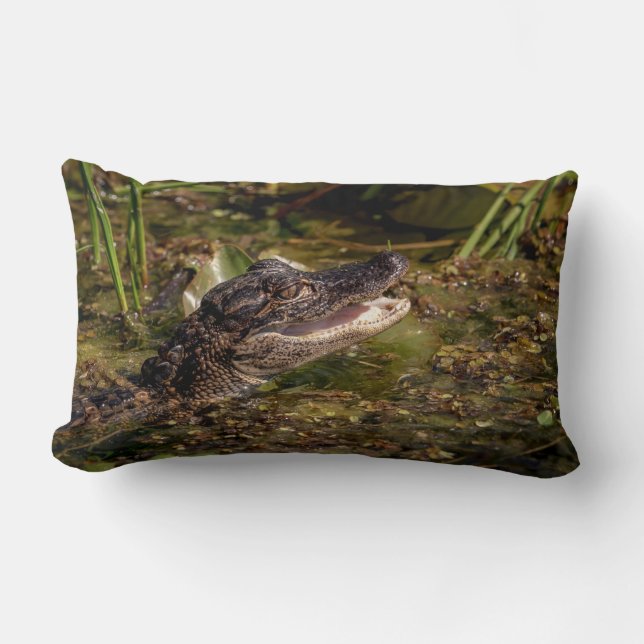 Young Alligator Lumbar Pillow (Front)
