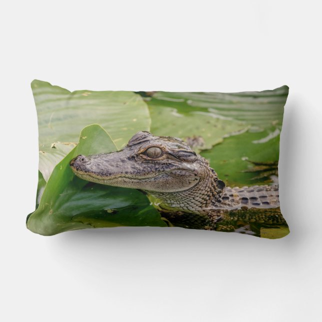 Young Alligator Lumbar Pillow (Front)