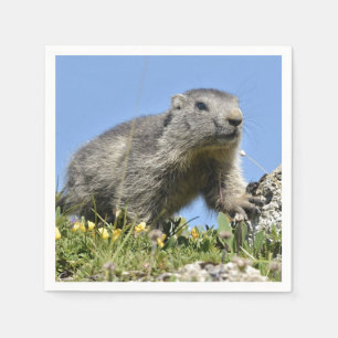 Young Alpine marmot Napkin
