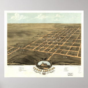 Young America Illinois 1869 Antique Panoramic Map Poster