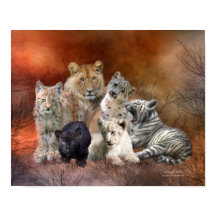 Young And Wild Art Poster/Print