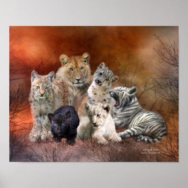 Young And Wild Art Poster/Print Poster (Front)