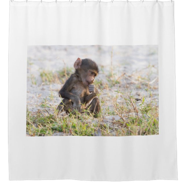 Young Baboon (Front)