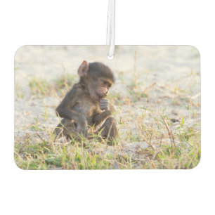 Young Baboon Air Freshener