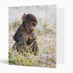 Young Baboon Binder