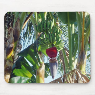 Young Bananas Mouse Pad