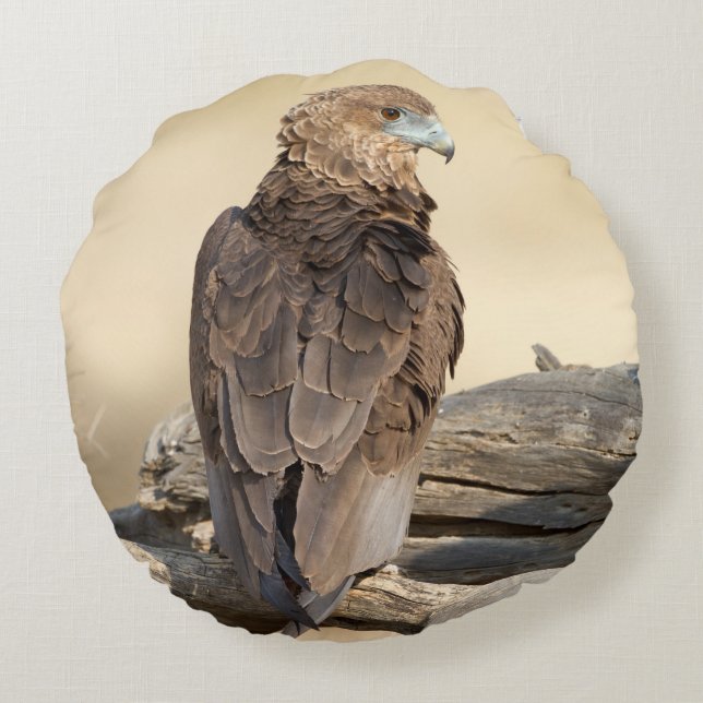 Young Bateleur Round Pillow (Back)