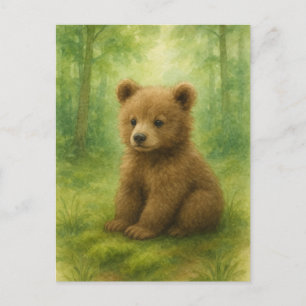 Young Bear Baby Wild Animals Postcard