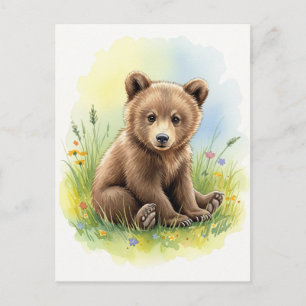 Young Bear Baby Wild Animals Postcard