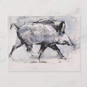Young boar Bialowieza Poland Postcard