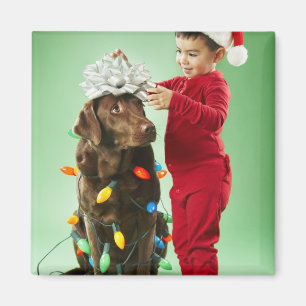 Young boy wrapping Christmas lights around a dog Magnet