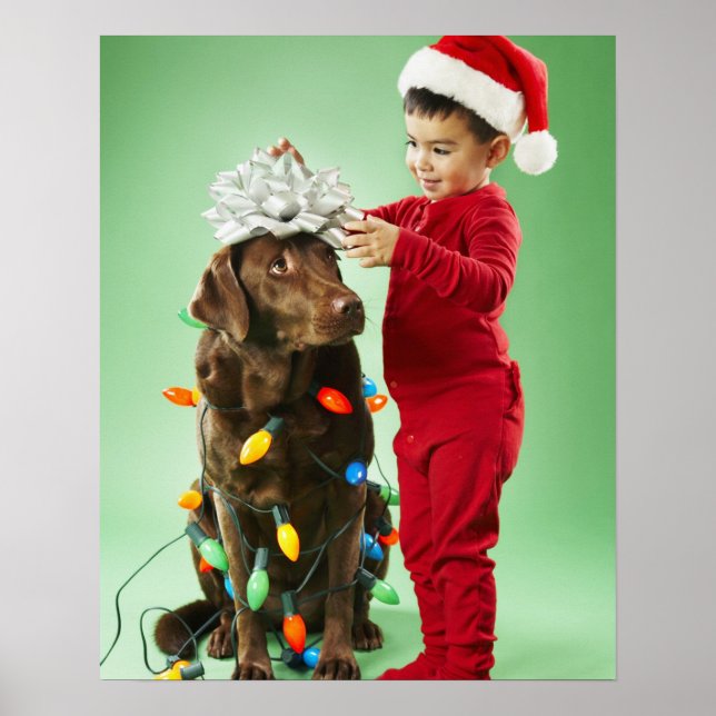 Young boy wrapping Christmas lights around a dog Poster (Front)