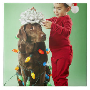 Young boy wrapping Christmas lights around a dog Tile