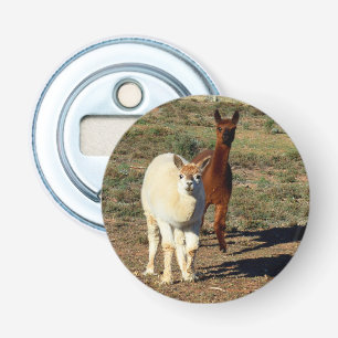 Young Brown And White Alpacas, Bottle Opener
