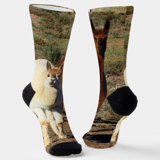 Young Brown And White Alpacas, Crew Socks (Angled)