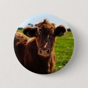 Young Brown Cow in Pasture Field 2 Inch Round Button