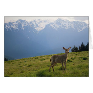 Young Buck and Mt. Olympus Peaks