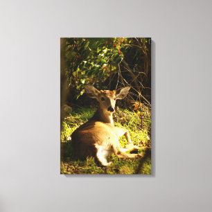 Young Buck in the Meadow Canvas Print