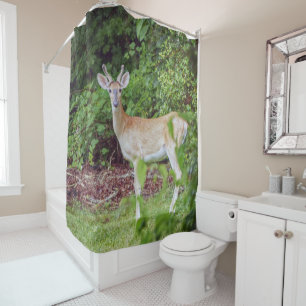 Young Buck in Velvet
