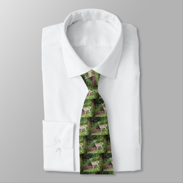 Young Buck in Velvet Tie (Tied)