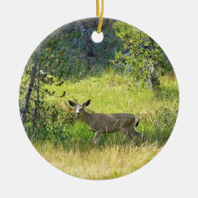 Young Buck in Yosemite, CA Ceramic Ornament (Front)
