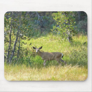 Young Buck in Yosemite, CA Mouse Pad