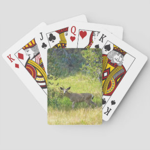 Young Buck in Yosemite, California Playing Cards