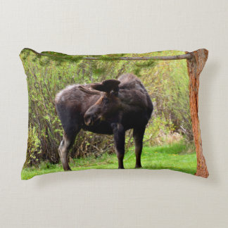 Young Bull Moose Accent Pillow