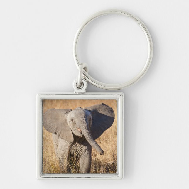 Young Bush Elephant Keychain (Front)