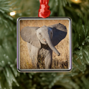 Young Bush Elephant Metal Ornament
