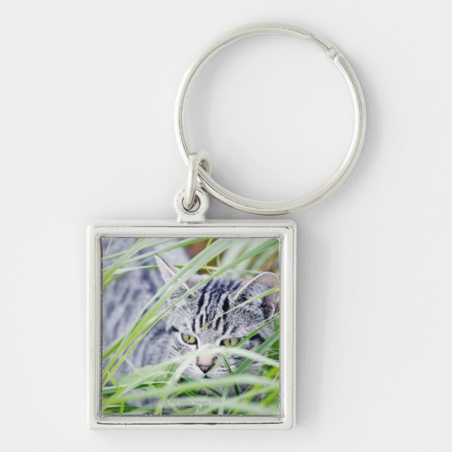 young cat portrait keychain (Front)
