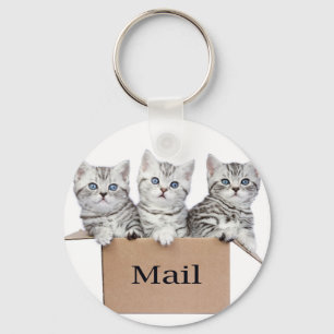 Young cats in cardboard box with word Mail Keychain