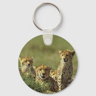 Young Cheetah Group Keychain