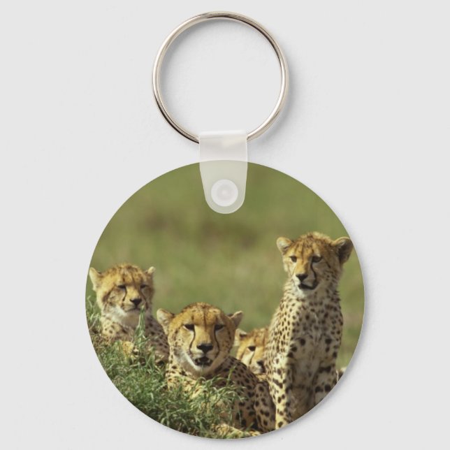 Young Cheetah Group Keychain (Front)