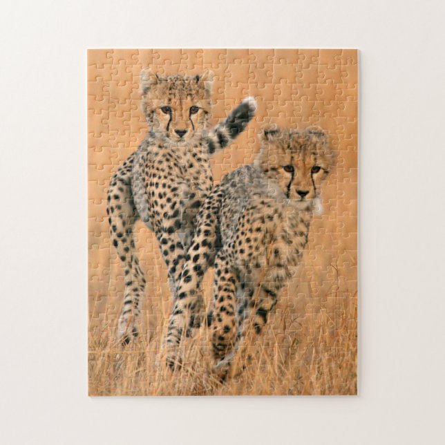 Young Cheetahs (Acinonyx Jubatus) Running Jigsaw Puzzle (Vertical)