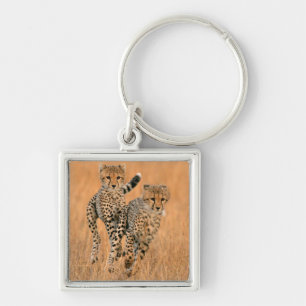 Young Cheetahs (Acinonyx Jubatus) Running Keychain