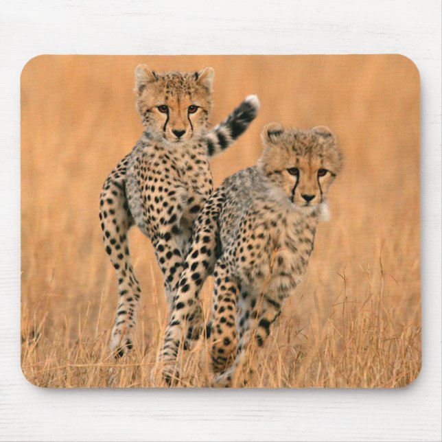 Young Cheetahs (Acinonyx Jubatus) Running Mouse Pad (Front)