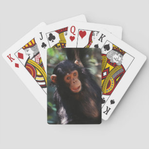 Young Chimpanzee hanging at forest Playing Cards