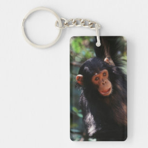 Young Chimpanzee Keychain