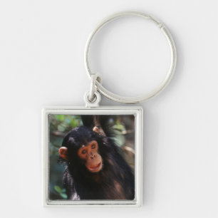 Young Chimpanzee Keychain