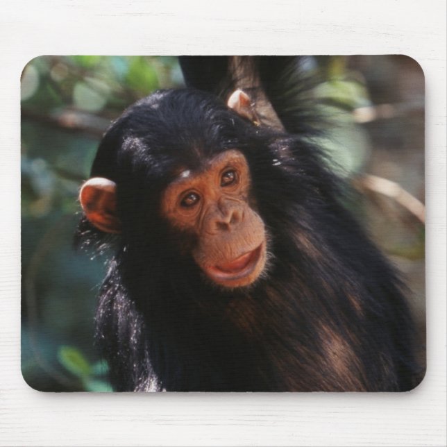 Young Chimpanzee Mouse Pad (Front)