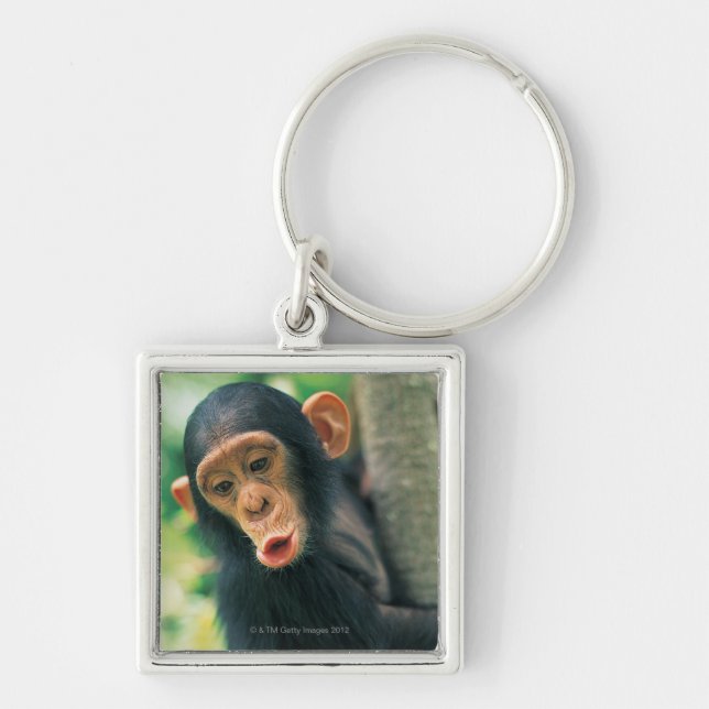 Young Chimpanzee (Pan troglodytes) Keychain (Front)