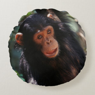Young Chimpanzee Round Pillow
