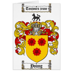Young Coat of Arms / Young Family Crest
