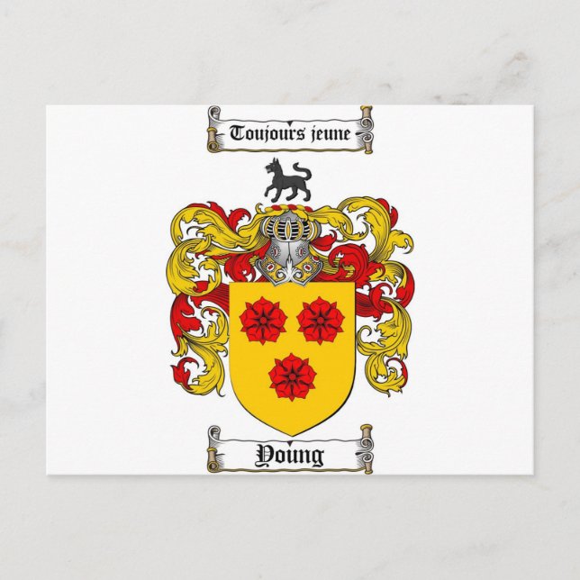 Young Coat of Arms / Young Family Crest Postcard (Front)